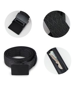 Pas s Skritim Prostorom